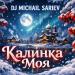 Dj Michail Sariev - Калинка Моя