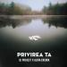 DJ Project & Alina Eremia - Privirea Ta
