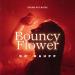 Dj Rauff - Bouncy Flower