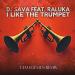 DJ Sava feat. Raluka - I Like (The Trumpet) (Cem Egemen Remix)