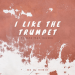 DJ Sava feat. Raluka - I Like The Trumpet (MD Dj Remix)