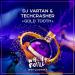 Dj Vartan & Techcrasher - Gold Tooth (Radio Edit)