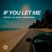 Dmitrii G, DJ Gazzz & DeepSummer - If You Let Me