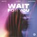 Dmitrii G, Lintrepy & DeepSummer - Wait For You