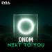 DNDM - Next to You