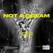 Dominik Friz, Fake Jordan & Malket - Not A Dream