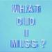 Drake - What Did I Miss