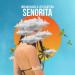 Dream Chaos feat. Lexi Scatena - Senorita