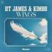 DT James feat. Kimbo - Wings