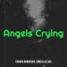 Edgars Bukovskis, Edbu & Lielais - Angels Crying
