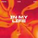 Edward Maya, AFRONOM, vidi roca - In My Life (Oh Ayah)