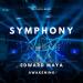 Edward Maya - Awakening (Symphony) [Original Motion Picture Soundtrack]