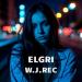 ELGRI & W.J.Rec - Glance