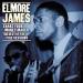 Elmore James - Dust My Broom