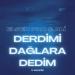Elsen Pro & Ali - Derdimi Dağlara Dedim