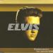 Elvis Presley - Rubberneckin (Paul Oakenfold Radio Edit)