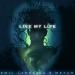 Emil Lassaria & Meyah - Live My Life (Live)