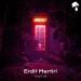 Erdit Mertiri - Final Call