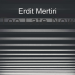 Erdit Mertiri - Too Late Now