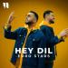 Euro Stars - Hey Dil