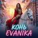 EVANIKA - Конь