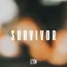 ezton - Survivor