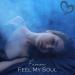 FaraoN - Feel My Soul