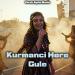 Faruk Aydın - Kurmanci Here Gule