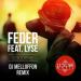 Feder Feat. Lyse - Goodbye (Uravnobeshen Dikiy Remix)