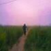 FindMyName, Slampack - Everlasting Summer