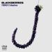 FISHER & bbyclose - Blackberries