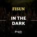 Fisun - In the Dark