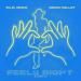 Flo Rida feat. Brian Kelley & MC4D - Feels Right (I Love It) (Sundress Season)