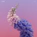Flume - Never Be Like You