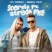 Fly Project feat. Bianca Tilici - Soarele Pe Strada Mea (Moonsound Radio Edit)