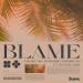 Freaky DJs & Mondorro & Pressplays feat. Steanie Mary - Blame