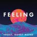 Frost feat. Robby Mond - Feeling