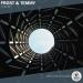 Frost, Temmy - Collide
