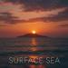 FRXSTBURN & W.J.Rec - Surface Sea
