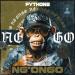 FYTHONS - NG'ONGO