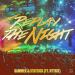 Gammer & Staysick feat. Nytrix - Replay The Night
