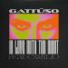 Gattüso & Camylio - In Love With The Night