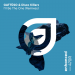Gattuso & Disco Killerz - I'll Be The One (DubVision Remix)