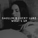 Gaullin, Lucky Luke - What's Up