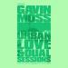 Gavin Moss, Urban Love & Dual Sessions - Take It Slow