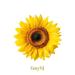 gavy nj - Sunflower (2026) (Instrumental)