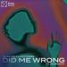 Gil Glaze & Luis Torres feat. Georgi Kay - Did Me Wrong