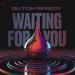 Glitch Remedy - Waiting For You