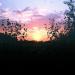 Gnash - Life (Everybody Dies)