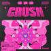 Groovyn, No ExpressioN - Crush